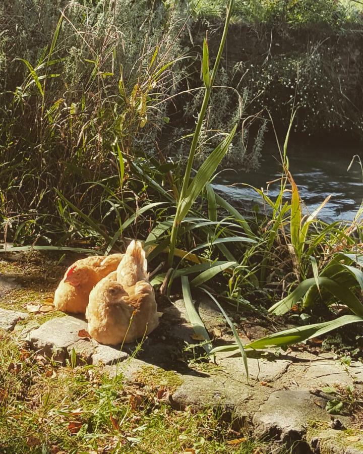 فيلا Le Moulin De Longueil المظهر الخارجي الصورة